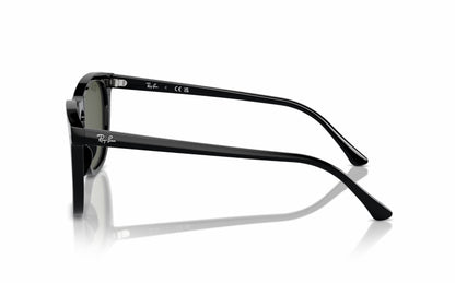 Ray-Ban Sunglasses RB2210 901/31