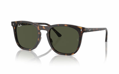 Ray-Ban Sunglasses RB2210 902/31