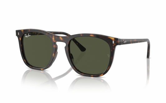 Ray-Ban Sunglasses RB2210 902/31