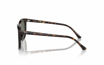 Ray-Ban Sunglasses RB2210 902/31