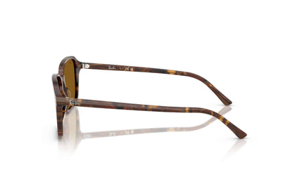 Ray-Ban Raimond Sunglasses RB2231 1418/33