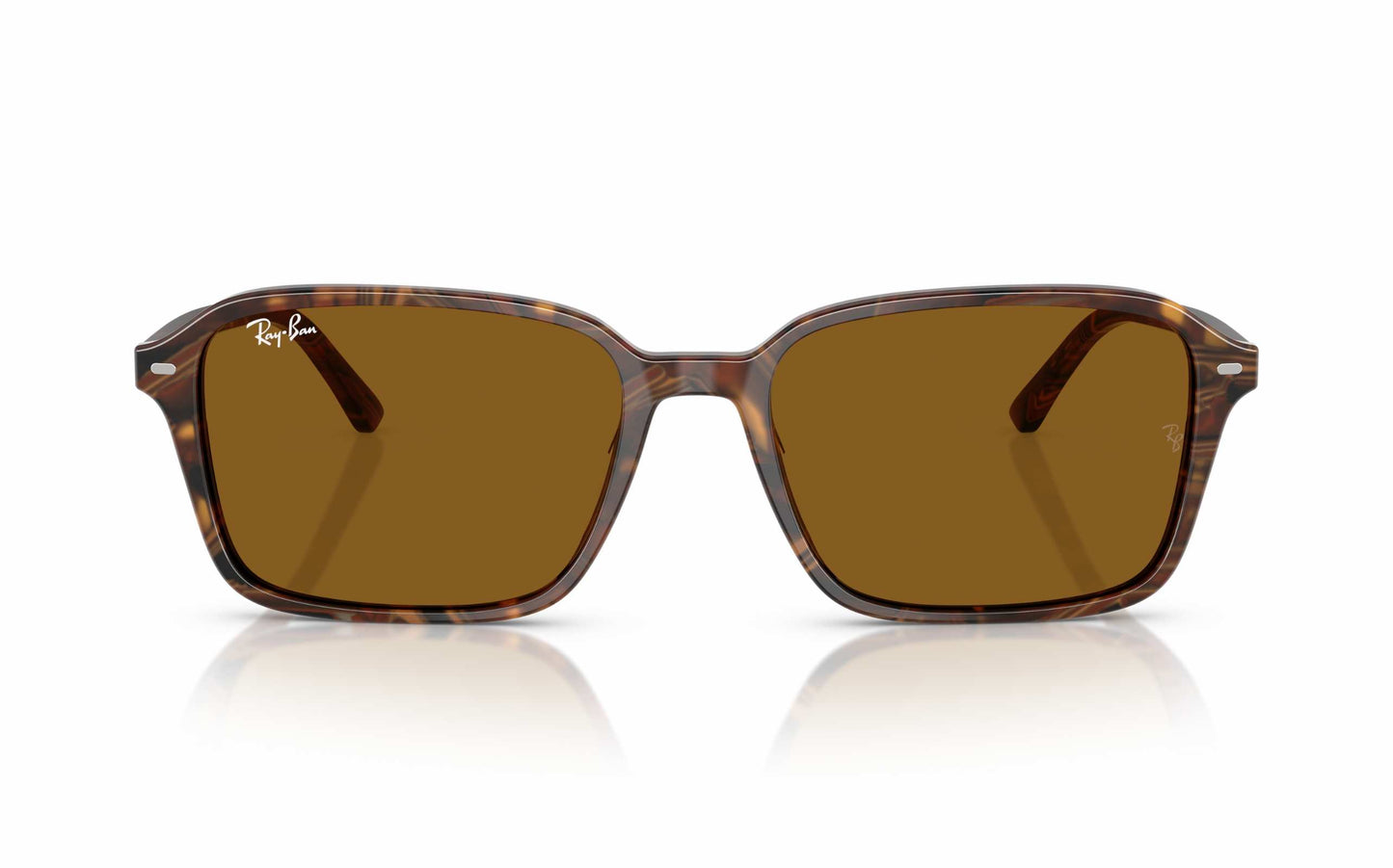 Ray-Ban Raimond Sunglasses RB2231 1418/33