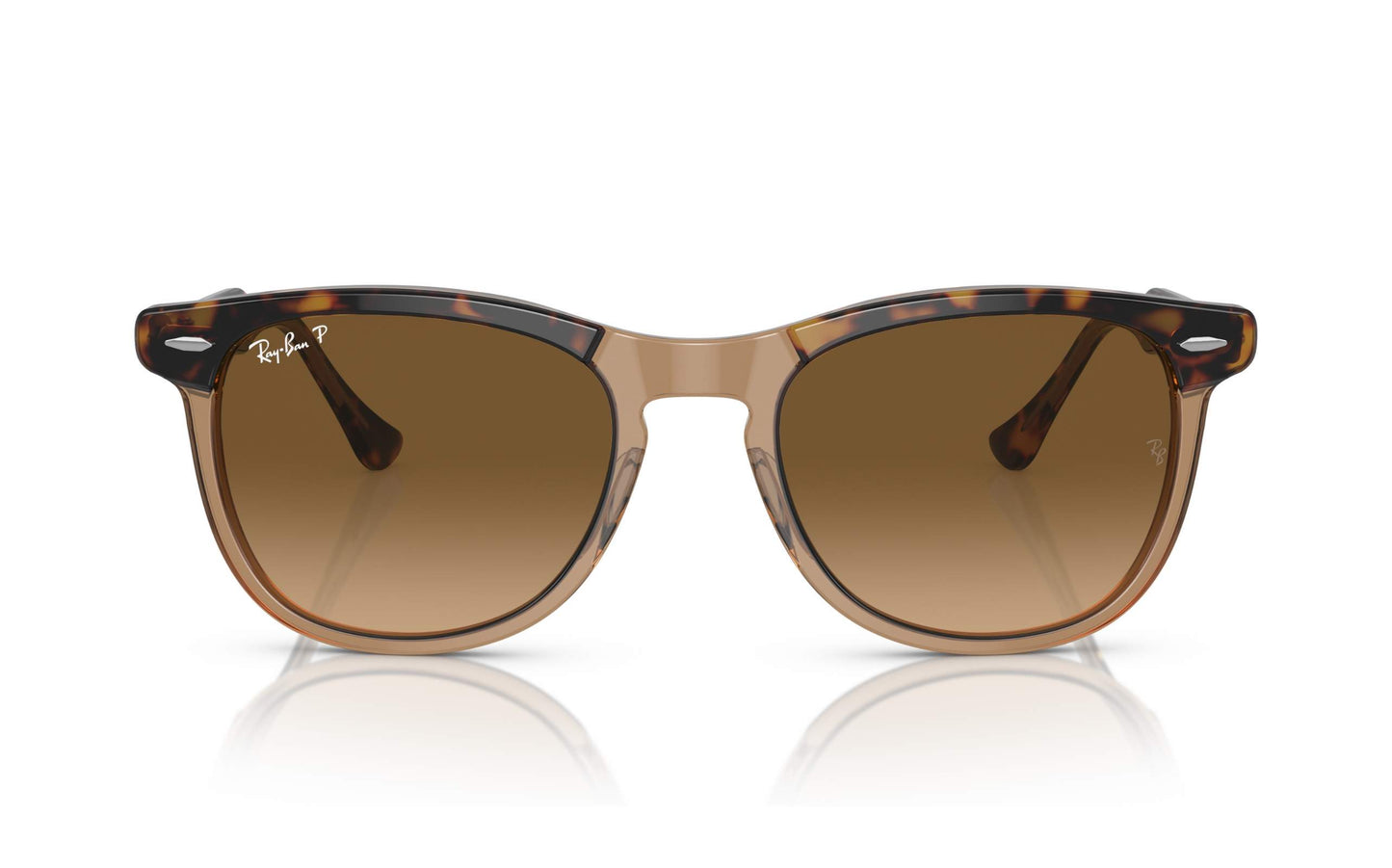 Ray-Ban Eagle Eye Sunglasses RB2398 1292/M2