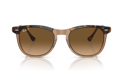 Ray-Ban Eagle Eye Sunglasses RB2398 1292/M2