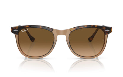 Ray-Ban Eagle Eye Sunglasses RB2398 1292/M2