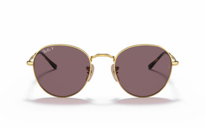 Ray-Ban David Sunglasses RB3582 001/AF