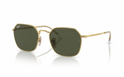 Ray-Ban Jim Sunglasses RB3694 001/31