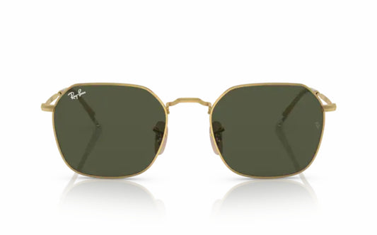 Ray-Ban Jim Sunglasses RB3694 001/31
