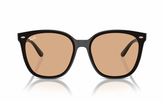 Ray-Ban Sunglasses RB4423-D 601/93