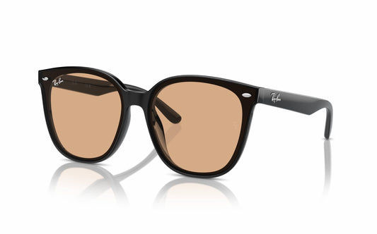 Ray-Ban Sunglasses RB4423-D 601/93