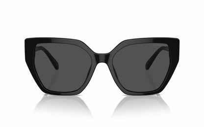 Swarovski Sunglasses SK 6016