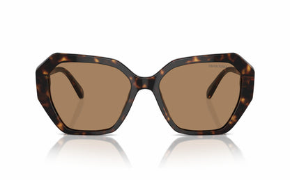Swarovski Sunglasses SK 6017 1002M4