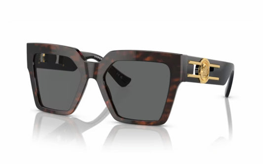 Versace Sunglasses VE 4458