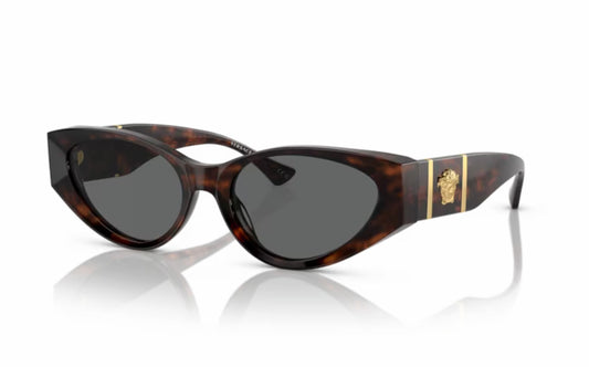 Versace Sunglasses VE 4454